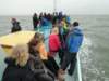 HWK Texel 207_small.jpg